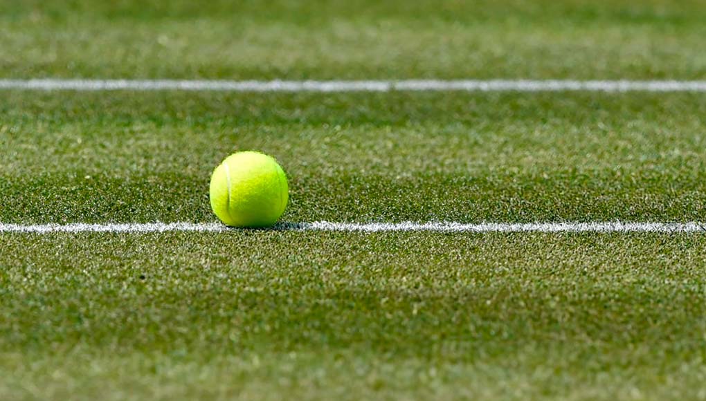 Qui sont les favoris pour Wimbledon 2024 ?